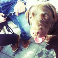 BasvdZ (@zbasvd) 's Twitter Profile