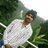 JagadishNavi's profile image