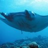 _mantaroh_'s profile picture. 🍺🍺🍺🍺

鹿児島大学理工学研究科の博士後期課程(Doctoral)/SeniorNinja@Unimal

ウェブページの自動生成に関する研究を行いつつ、Unimal で Spearly CMS などの製品開発に携わっています