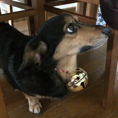 たまには毒を吐きたいゎ((((；ﾟДﾟ)))))))