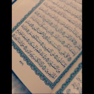 فولو هنا @saeed__w انفض المفضله م أسوي أنفولو