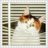 moonsritakirs11's profile image