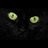 lebtanestpo1988's profile image