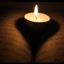 KurRehberi's profile picture. 