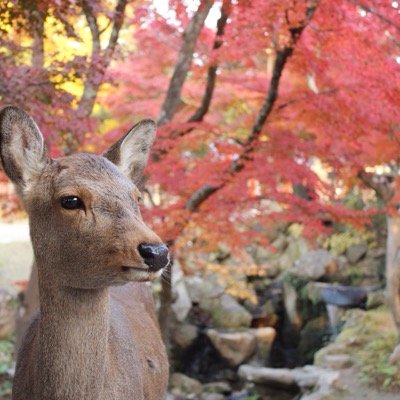 Diet_TAKA1's profile picture. 旅行 / カメラ / 風景写真 / 筋トレ / ラーメン 完


全なる趣味専用のアカウント