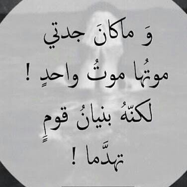 حساب غير رسمي لمنتدى مشاهدين عيش صحاري..الهدف جمع الشمل من جديد.. معكم مجنونة الغضا