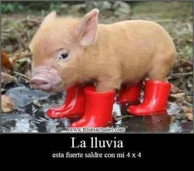 sube una foto tuya mencioname y te subo
