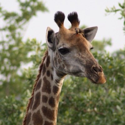 Brown13Debby's profile picture. 