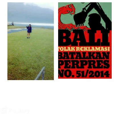Pin:276ca06f