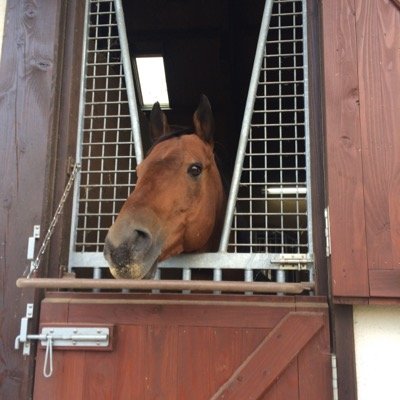 planeshift126's profile picture. 公認会計士