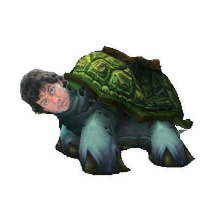 slinktortoise's profile picture. Roughly 95% NBA here... 5% poorly photoshopped tortoise pics
