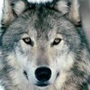 karen olvera - @karen12957552 - Twitter