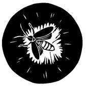 Fireflies Magazine Profile