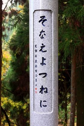 飛ばねぇ豚はただの豚だ