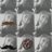 Rosalim_AR's profile image