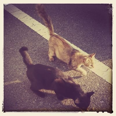 love: 絵師様,読書です！