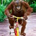 MonkeyTarmac (@monkeytarmac) Twitter profile photo