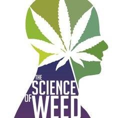 FOLLOW TRUTH...CANNABIS CBD (CANNABIDIOL) OIL CURES INOPERABLE BRAIN TUMOR IN 8 MONTH OLD BABY! SEE MY PINNED TWEET!  WE'RE IN THIS TOGETHER SO,  I FOLLOW BACK!