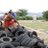forner0909's profile image