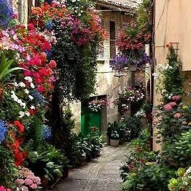 miiraxdd's profile picture. 