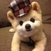 Steven (@stevenlv16) Twitter profile photo Steven (@stevenlv16) Twitter profile photo