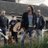 MurpheysLawBand's profile image