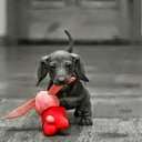 Alfredo Marroquin - @alfredomarroq12 - Twitter