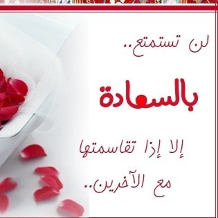 monmun1211's profile picture. 