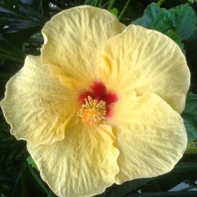 marcelatobar301's profile picture. 