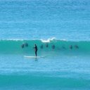 Charlie  Bear - @RWooly9 - Twitter