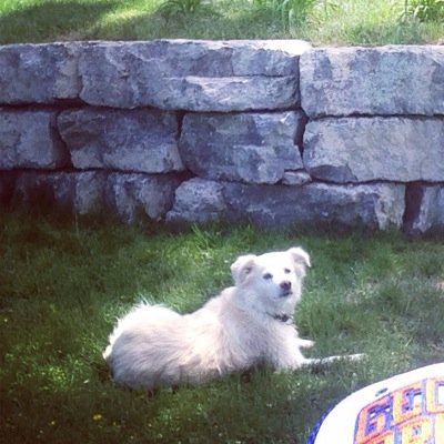 dvasquezmata's profile picture. Sharing a meal is the best gift.