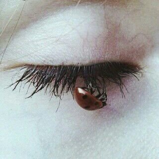 ♡