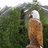 WorldWatcher_NL's profile image
