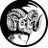 OSMSBasketball's profile image