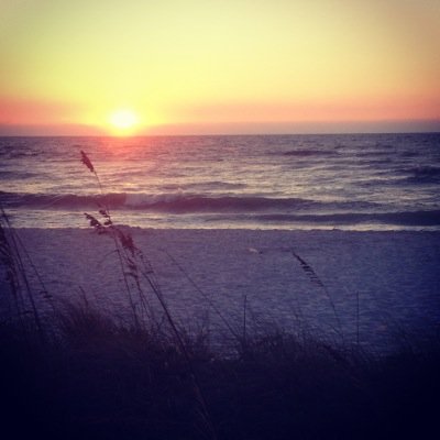 Hope is the thing with feathers 
That perches in the soul, 
And sings the tune--without the words, 
And never stops at all