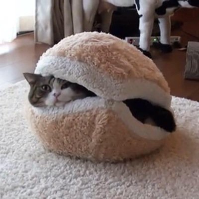 nasaplaying's profile picture. nowplayingが主。自分の良いと思った音楽を。それ以外もたまにつぶやきます。 フォロー等はご自由に☺︎ #nasaplaying