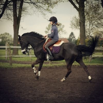 firstgame02's profile picture. 