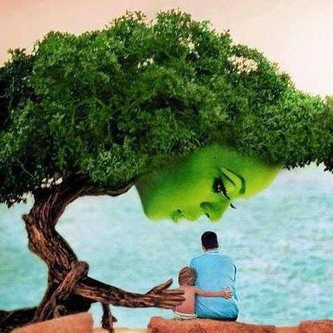 Thanks for visiting Amazing Things in the World Lovely Amazing World.