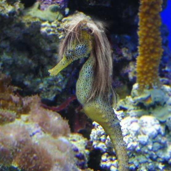 Lynn_Ekey's profile picture. books boeken books boeken books boeken books and a bit of blood and #andymcnab