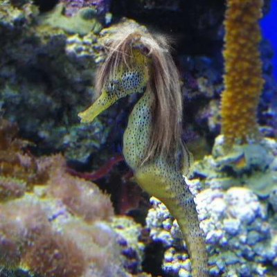 Lynn_Ekey's profile image