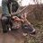 dfraiser1522's profile image