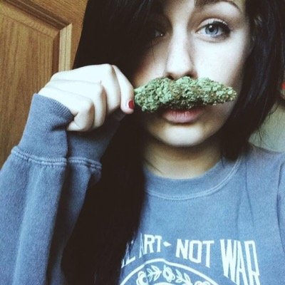 Cannabis_Farm's profile picture. 