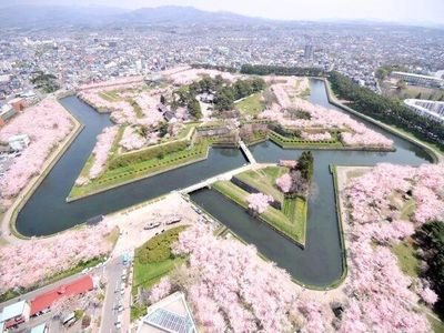 メロンじゃないよレモンだよ