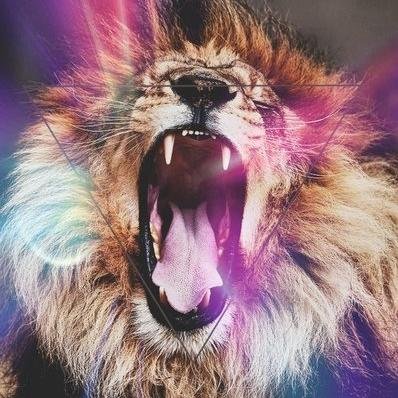 PutaNoMeJodas's profile picture. 