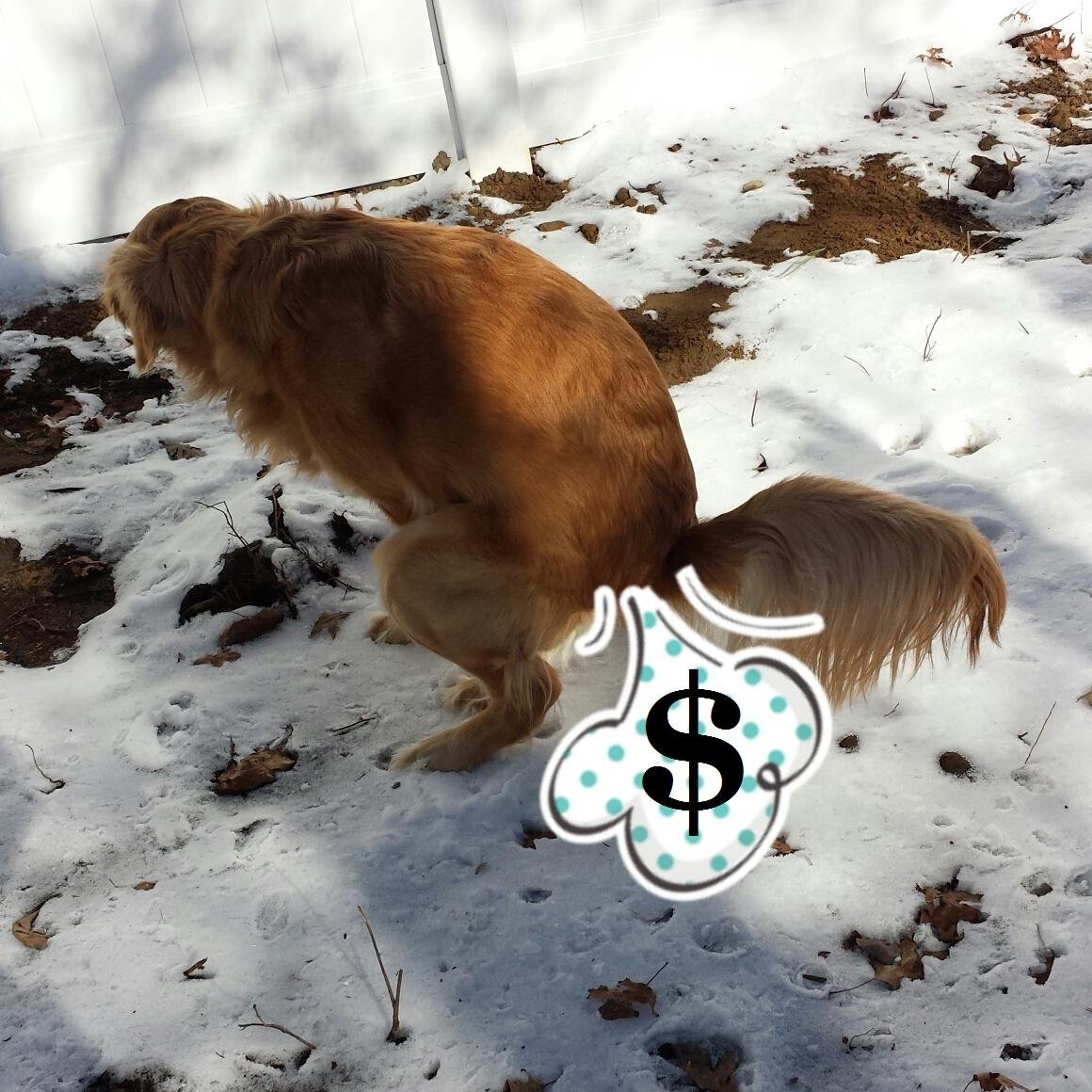 bcinehtnj's profile picture. 