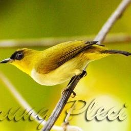 AkhungSupandi's profile picture. 