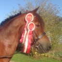 Martina Compton - @martymoo12 - Twitter