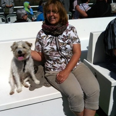 GerdesHarald's profile picture. 