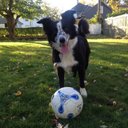 George Forte - @forte_george - Twitter