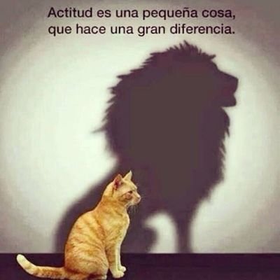 Correr,box ,cine
